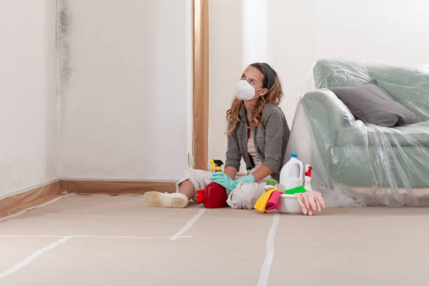 Reliable Mold Removal contractor in Downers Grove, IL by Mold Remediation HQ